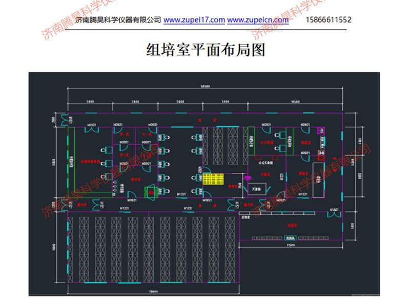 山东蜜柚视频了app下载汅api免费下载室(培养室)建设设计