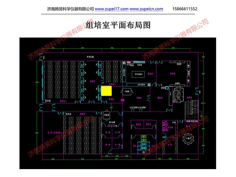 马拉西亚植物蜜柚视频了app下载汅api免费下载室（培养室）净化设计