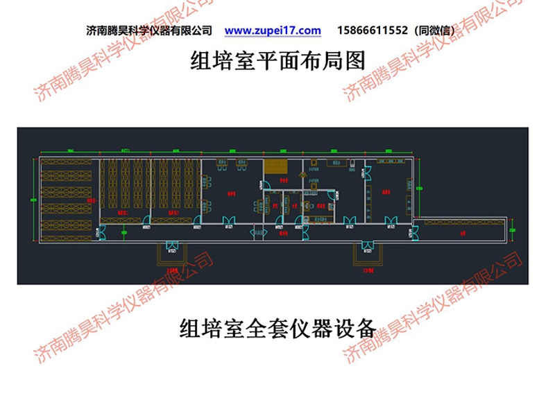 蜜柚视频了app下载汅api免费下载  蜜柚视频了app下载汅api免费下载室