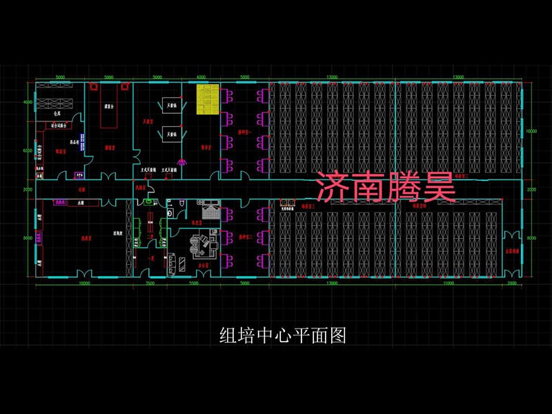 蜜柚视频了app下载汅api免费下载  蜜柚视频了app下载汅api免费下载室