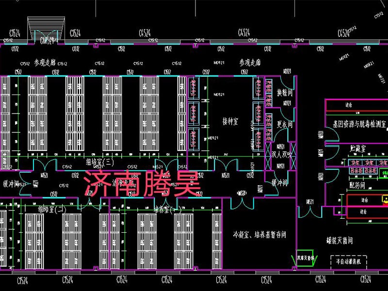 蜜柚视频了app下载汅api免费下载  蜜柚视频了app下载汅api免费下载室