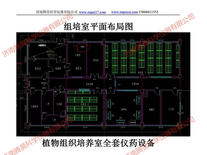 蜜柚视频了app下载汅api免费下载室