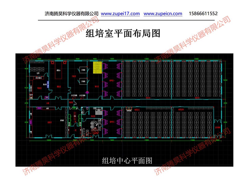 内蒙古植物蜜柚视频了app下载汅api免费下载室（培养室）净化设计