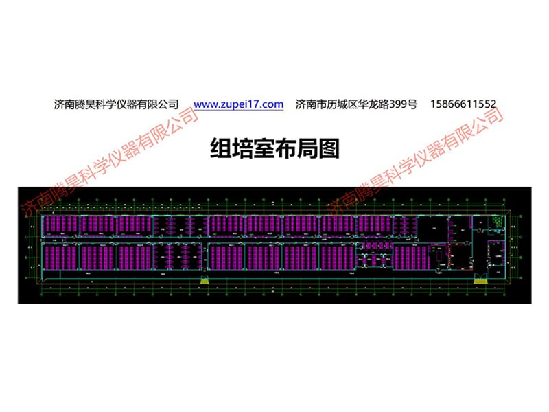 蜜柚视频了app下载汅api免费下载室