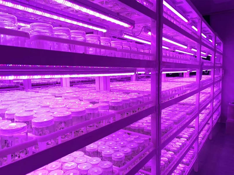 蜜柚视频了app下载汅api免费下载  插扣式蜜柚视频了app下载汅api免费下载架