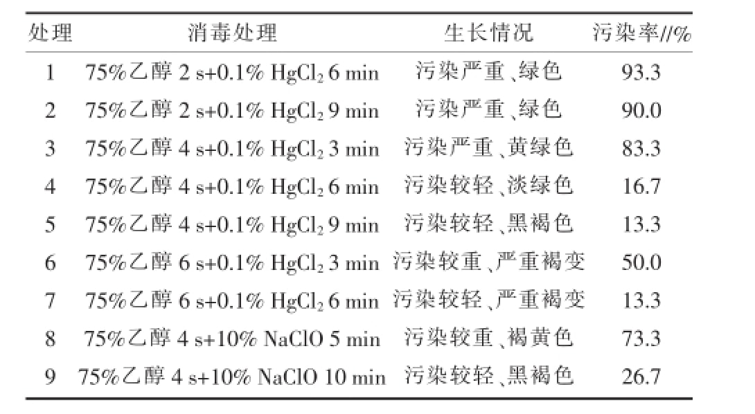 空气凤梨蜜柚视频了app下载汅api免费下载快繁技术优化