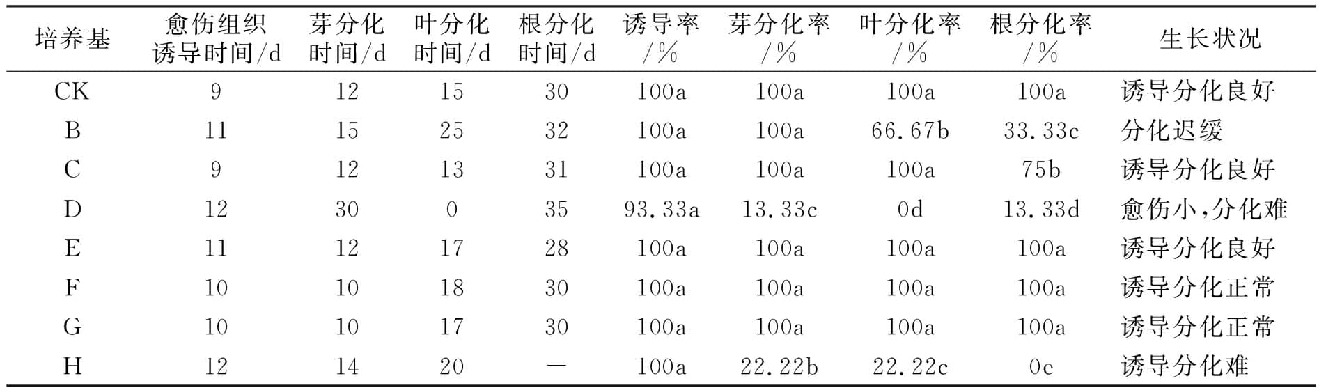 蜜柚视频了app下载汅api免费下载设计图