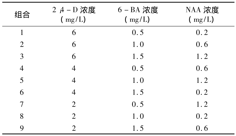 柳枝稷种子蜜柚视频了app下载汅api免费下载快繁技术