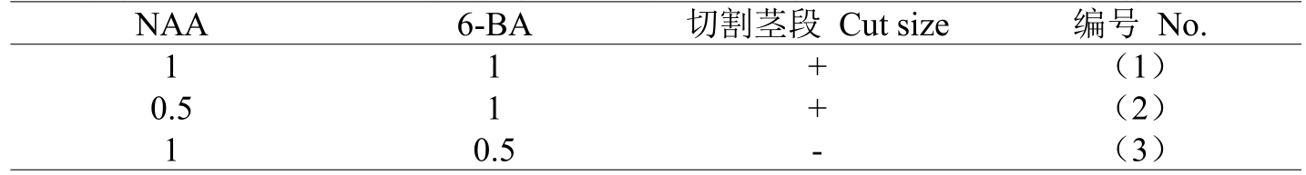 铁皮石斛蜜柚视频了app下载汅api免费下载体系的建立