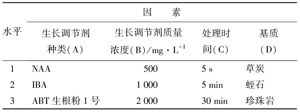 轮生冬青蜜柚视频了app下载汅api免费下载苗微枝试管外生根技术